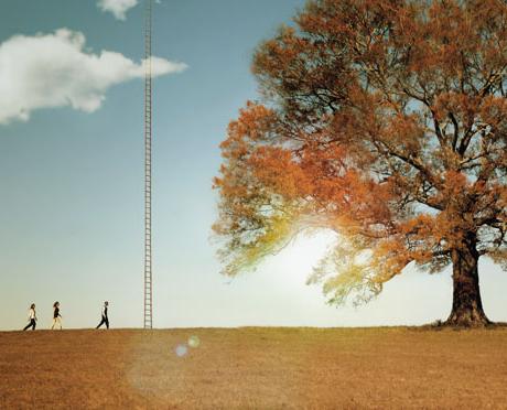 Three students walking towards a tall ladder in a field